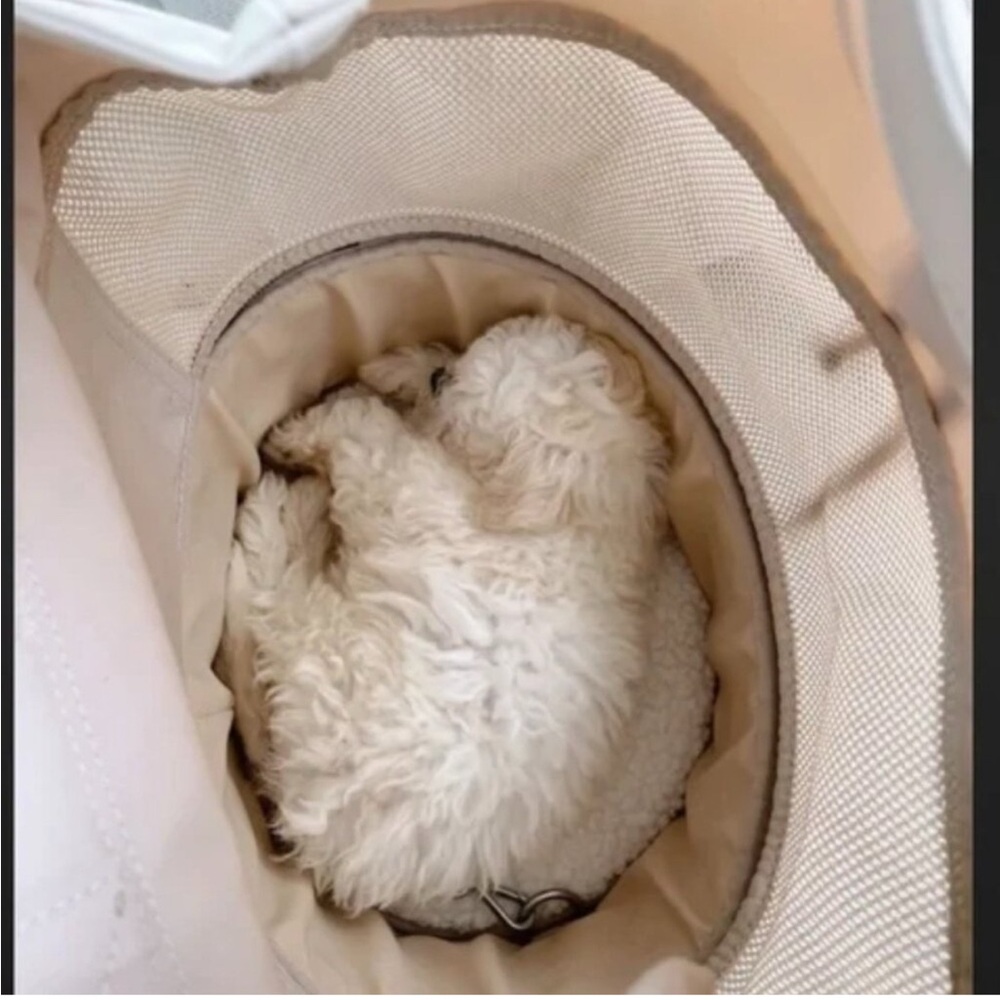 Max bone Nylon Dog Carrier, NWT! - Picture 5 of 10